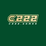 C222 Game